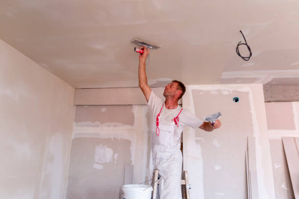 Trusted Lucerne Valley, CA Dry wall and painting Experts